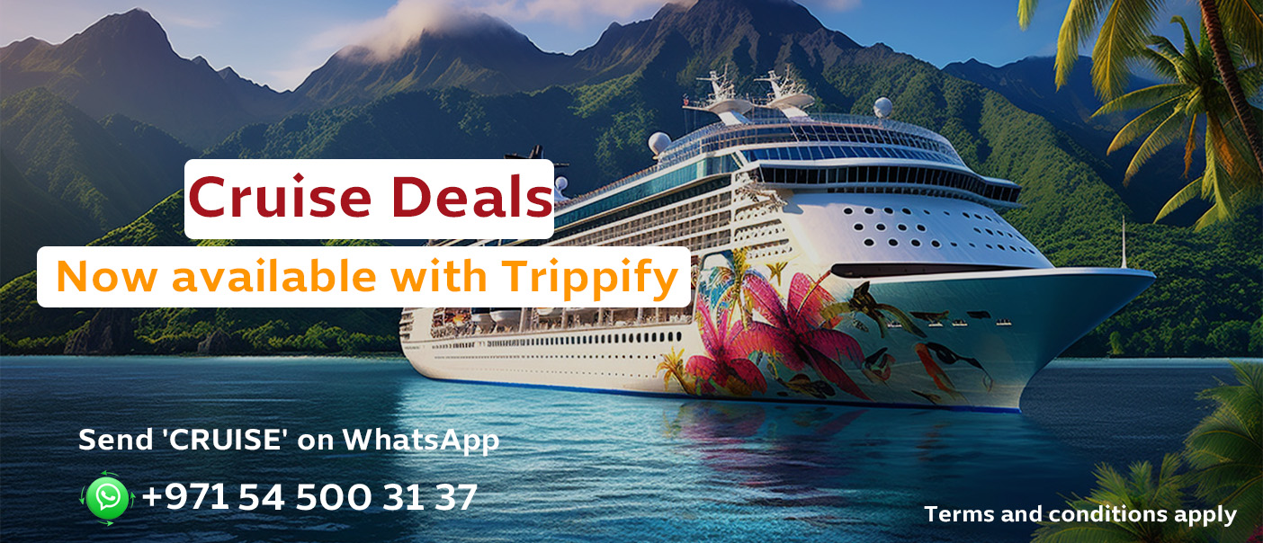 Cruise en