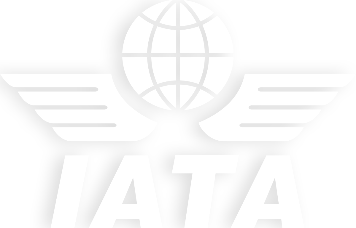IataIcon